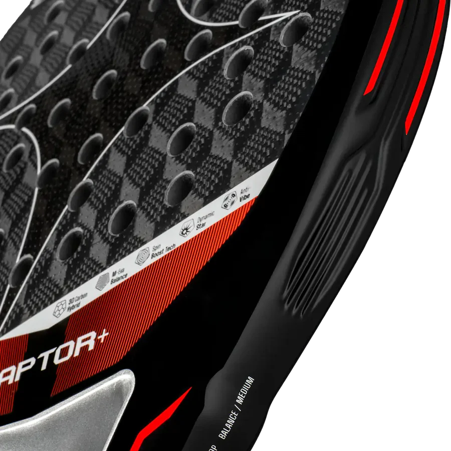 Starvie RAPTOR+ 2026